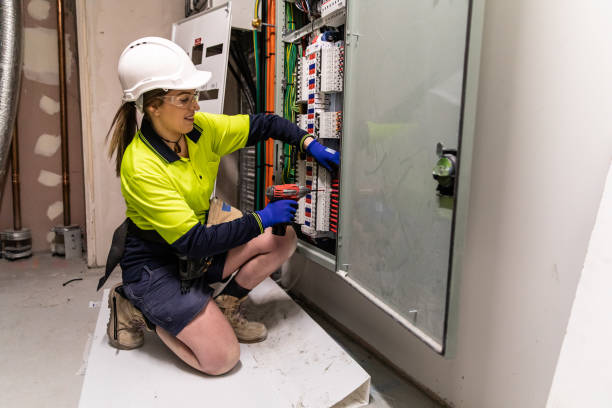 Best Electric Panel Repair  in Olcott, NY